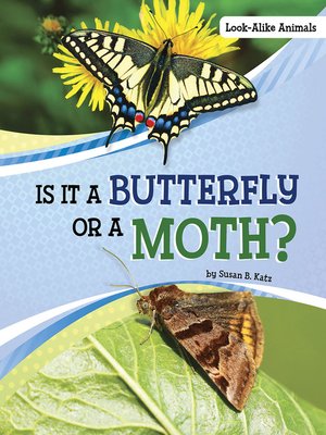 cover image of Is It a Butterfly or a Moth?